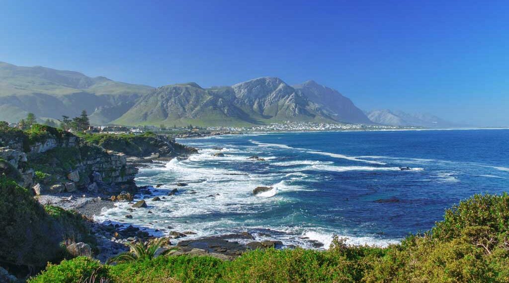 Top 30 Things to Do in Hermanus - Cape Tourism