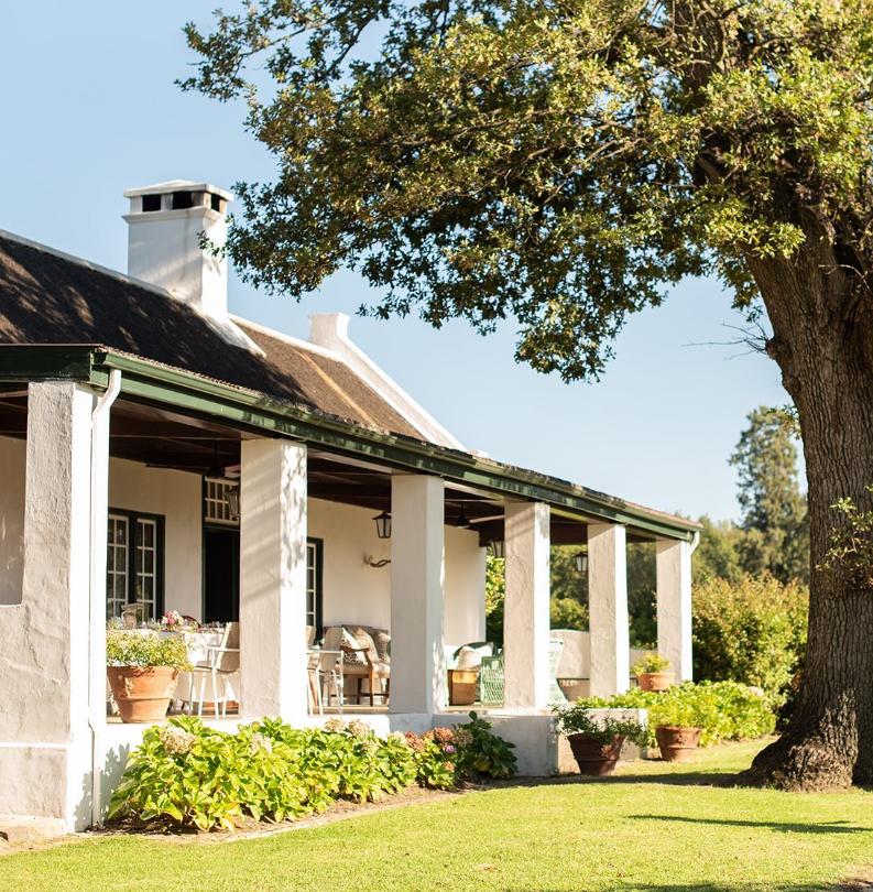 Boschendal Wine Estate - A Picnic Paradise - Cape Tourism