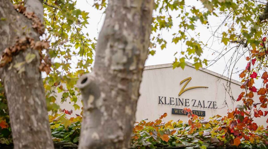 Wine Of The Week - Kleine Zalze Cellar Selection Chenin Blanc